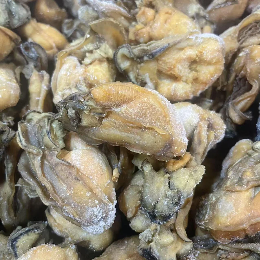 生晒蚝豉干-新货福利