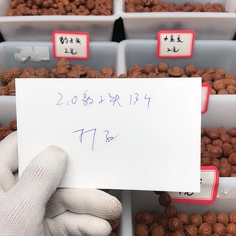 桃核吊坠叁****叁龙纹桃核的搭配