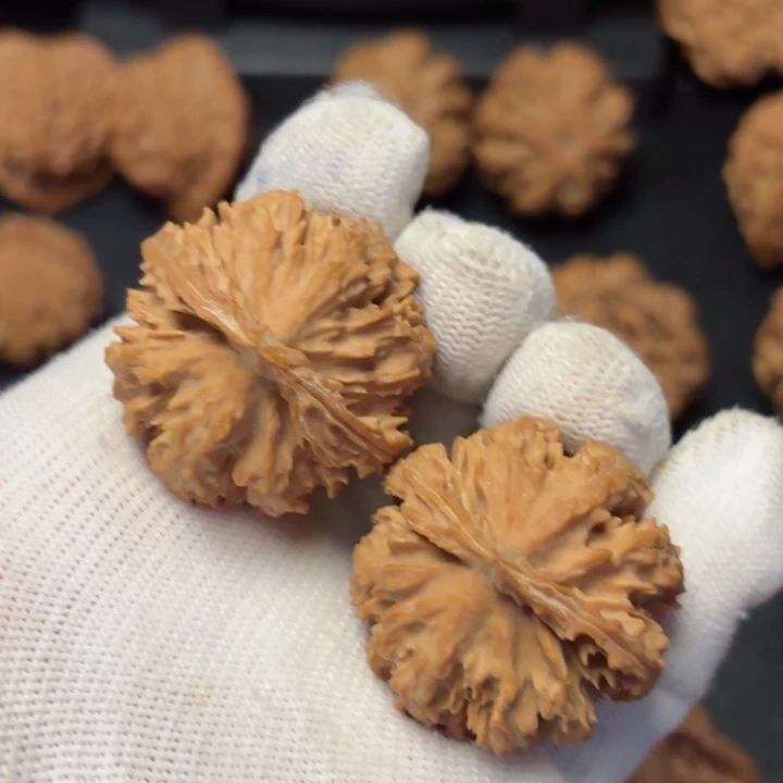 文玩核桃吊坠秦岭野生灯笼28