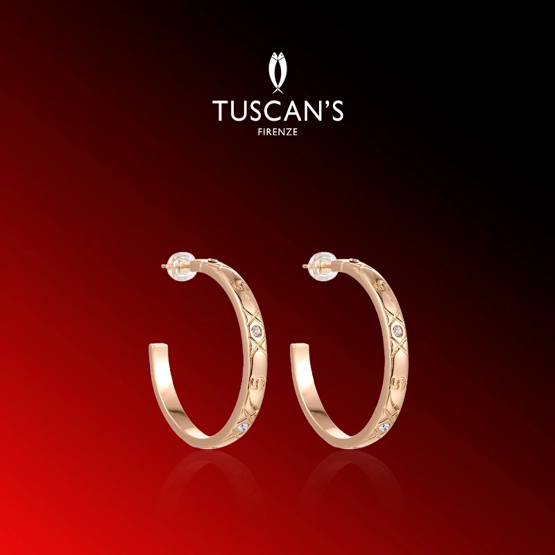 TUSCAN'S 铜合金合成锆石耳饰 金色C形法式复古耳环朋克欧美圈圈