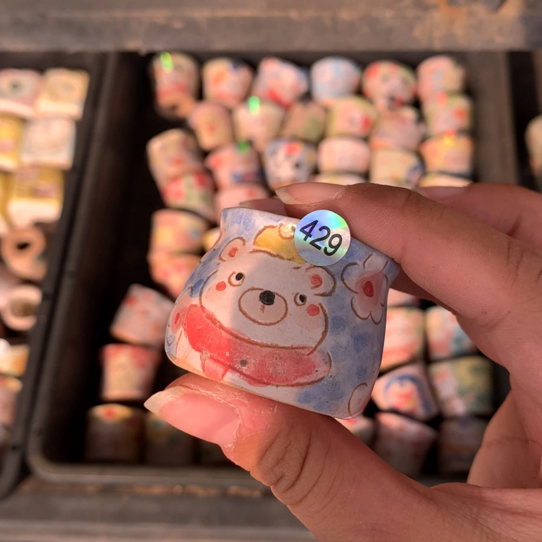 默认微瑕福袋花盆多肉植物