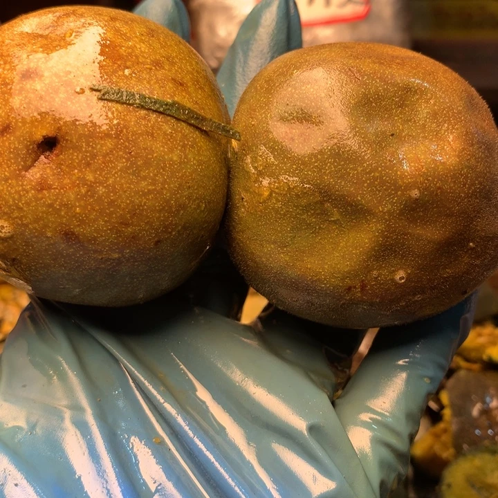 小***柒大叶紫檀（黑酸枝木类）