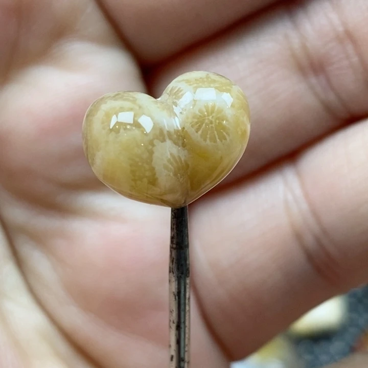 颈饰未镶嵌硅化珊瑚（珊瑚玉）