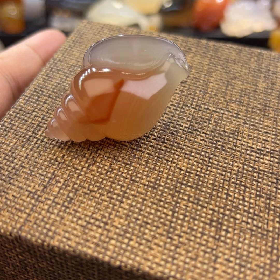 未镶嵌手玩摆件定制玛瑙海螺