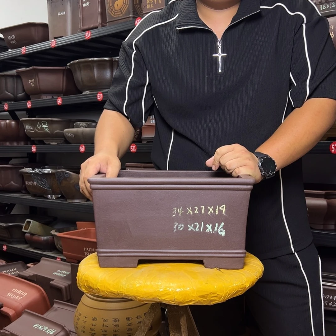 紫砂花盆呜呜呜呜呜