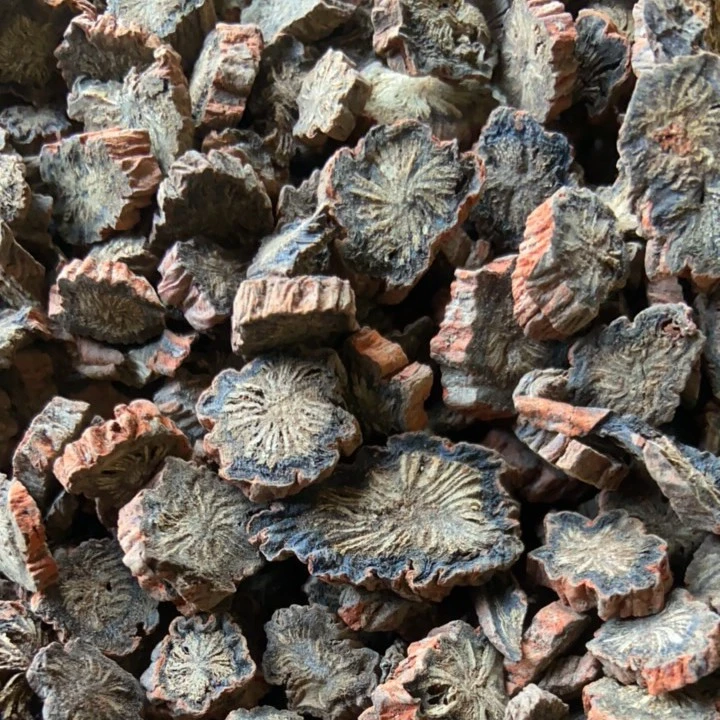 紫丹参，农家山货，泡酒泡茶