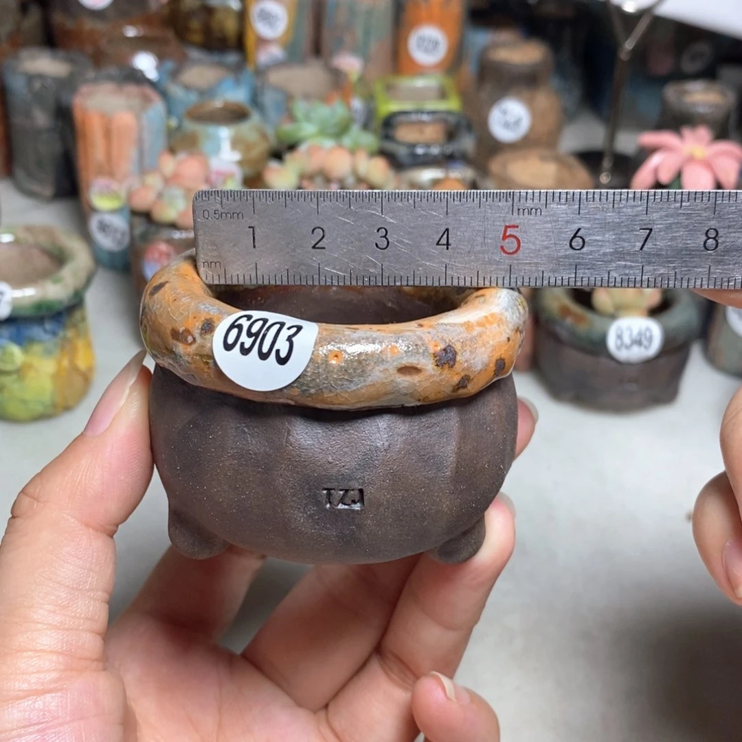 拍3送一个小礼物