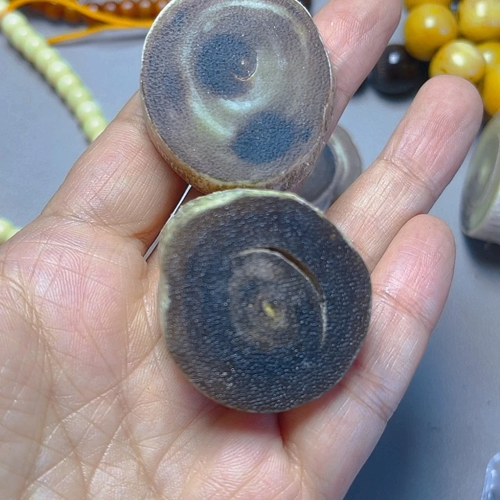 大果紫檀（缅甸花梨）