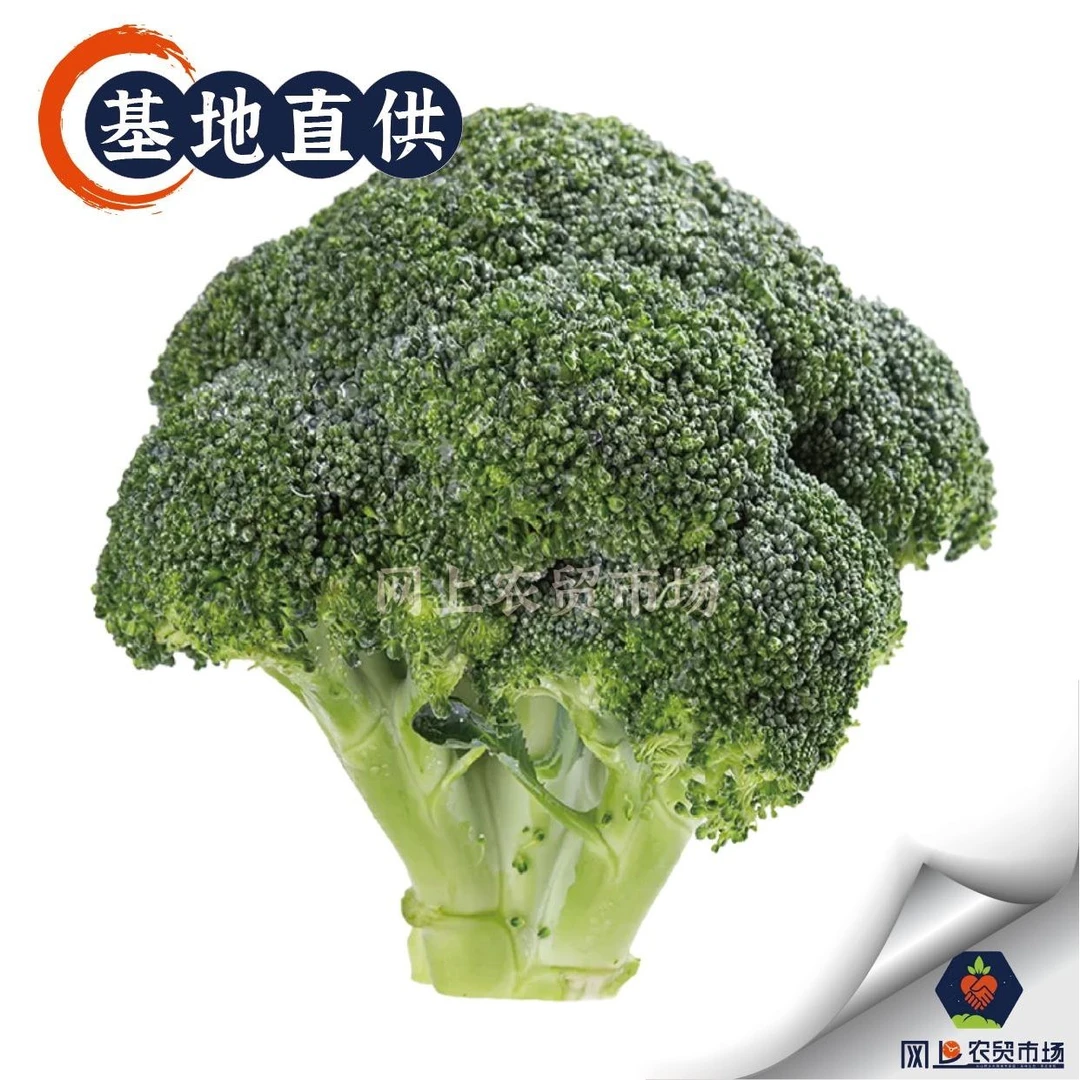 【减脂增肌】新鲜1朵西兰花 约400-550g/份