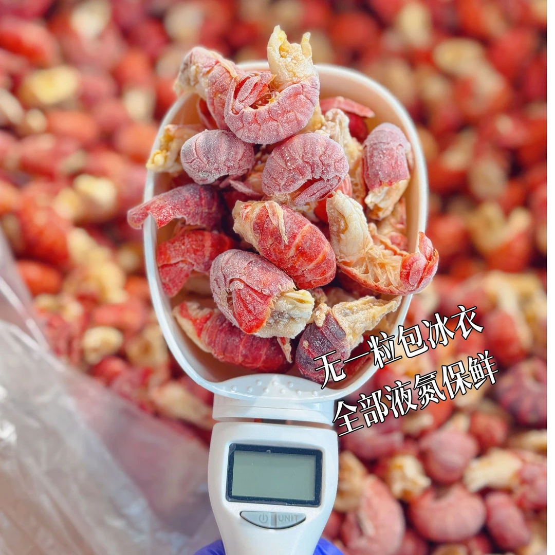 【荆州邮政推荐】鲜东方一级冷冻鲜活小龙虾无冰衣小龙虾鲜活