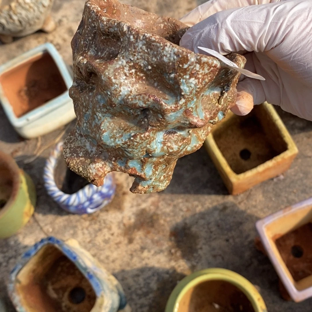 红陶A***n17号多肉盆一个呀