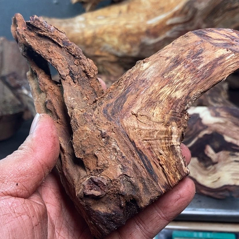 【闪购商品】黄花梨/降香黄檀阿****装