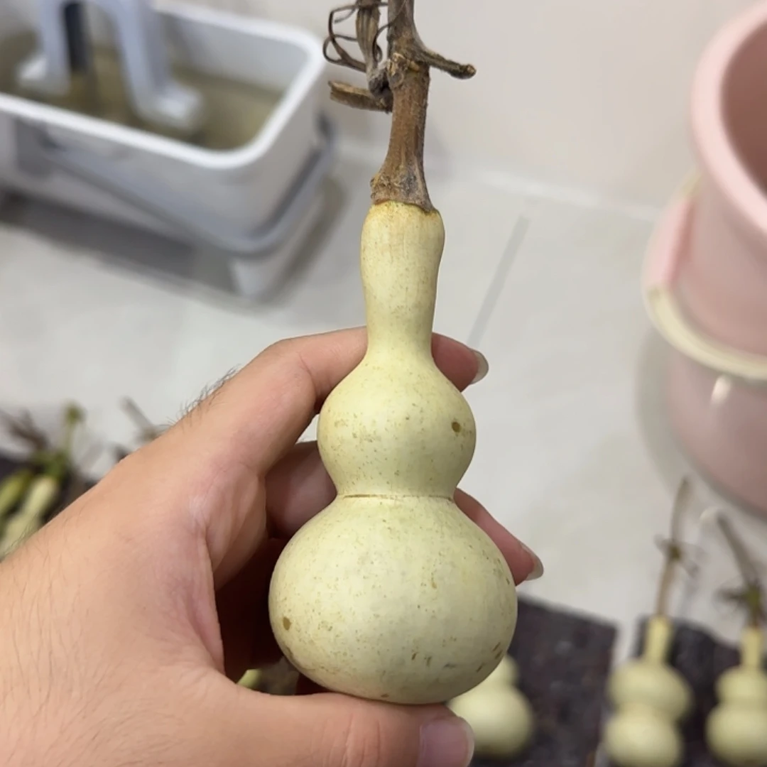 多***福葫芦djsjdjsnsnssjsj