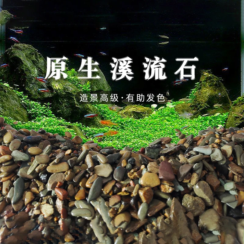 原生鱼缸造景底砂溪流石水草龟缸雷龙鱼草南美缸装饰铺底溪流砂