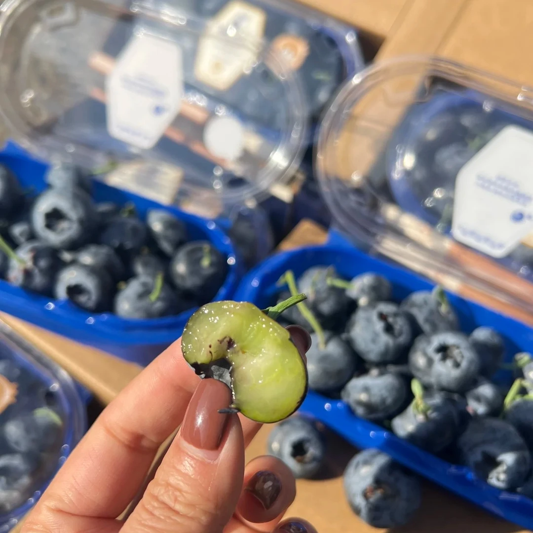 蓝莓王，老大了，云南蓝莓250克24mm优瑞卡云南省云南