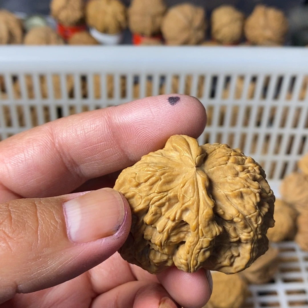 大***闪大叶紫檀（黑酸枝木类）