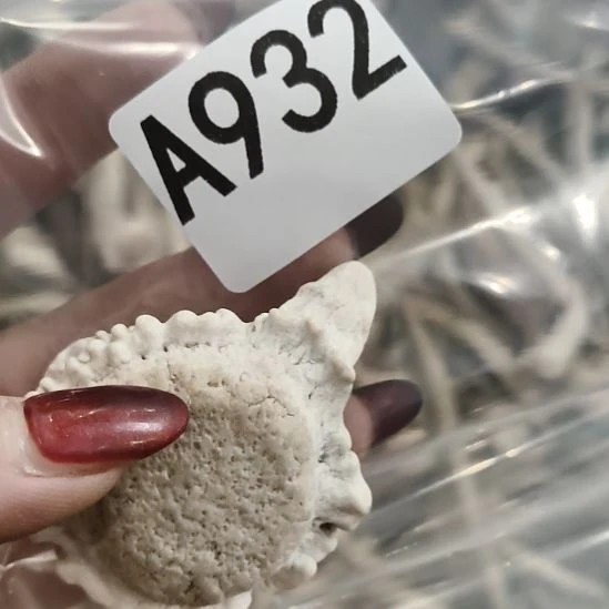 熊****鹿角鹿角鹿角鹿角鹿角鹿角