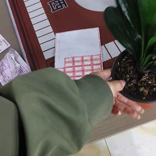 完全开放ffffffgggggg