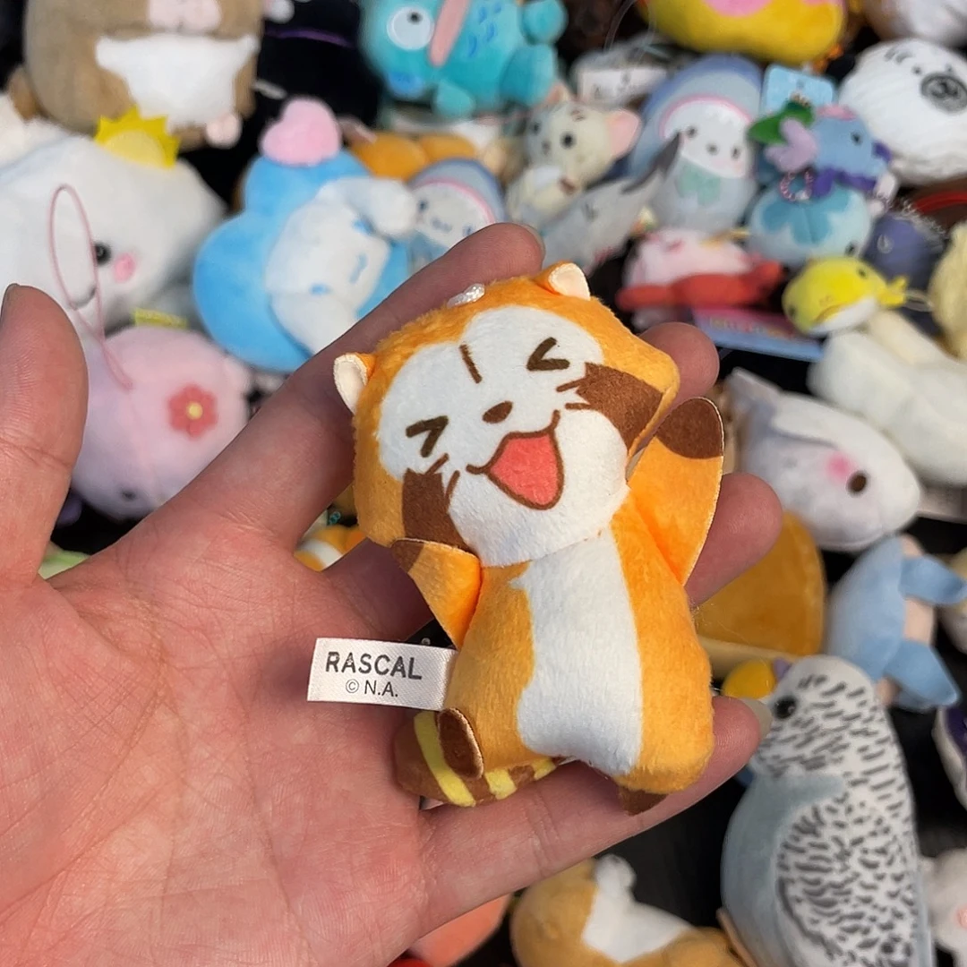 毛绒三十包邮促销
