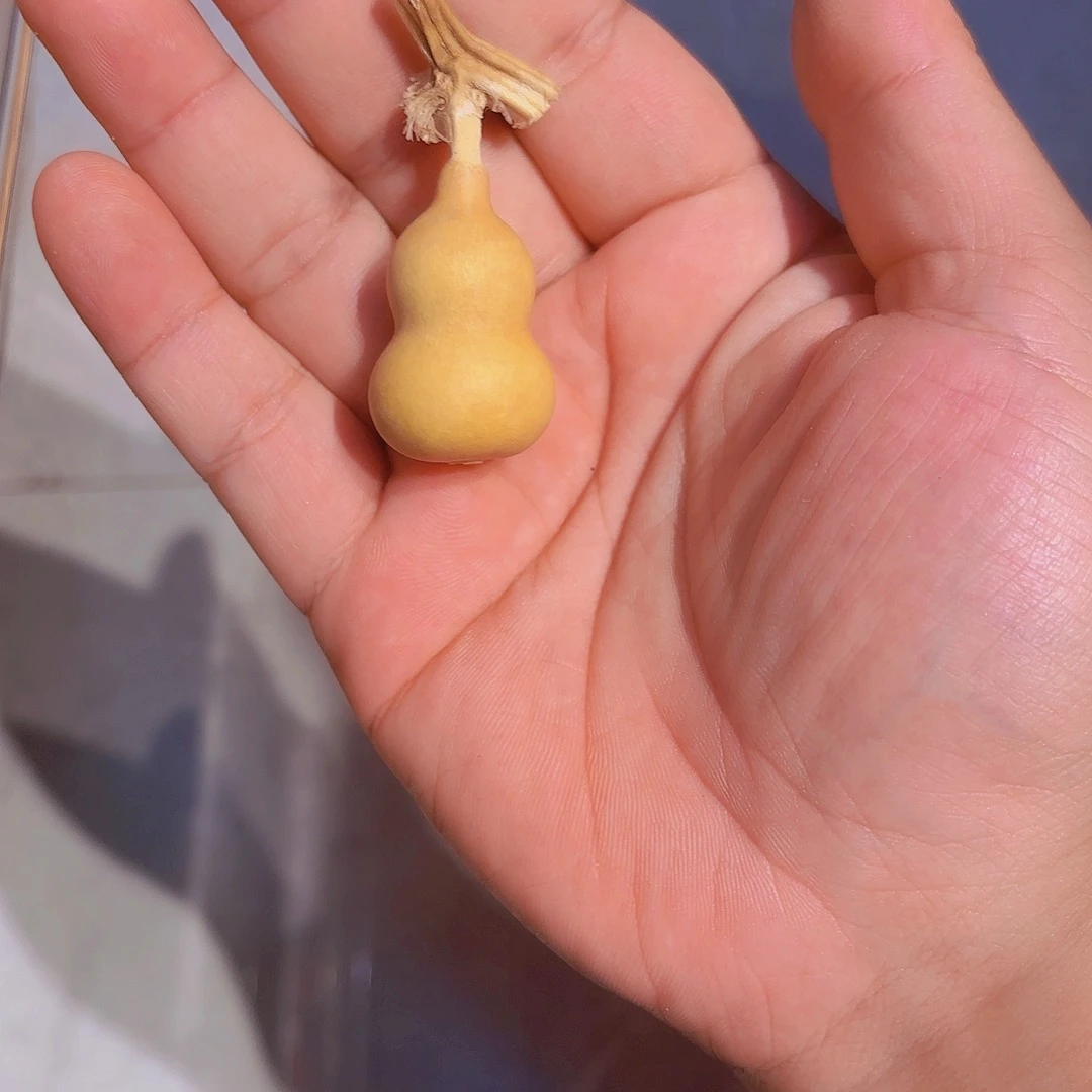 慢***～哈哈哈哈哈哈哈哈