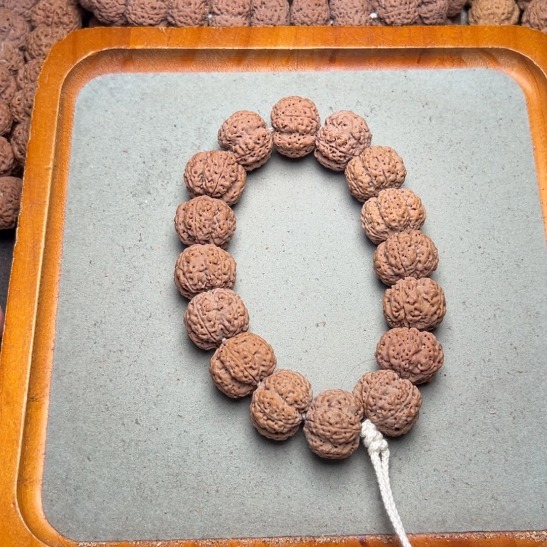 7***-菩提31号金刚菩提满肉双龙22