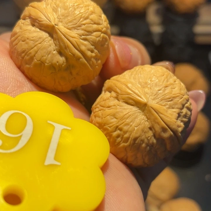 粗筋蛇皮球尺寸29