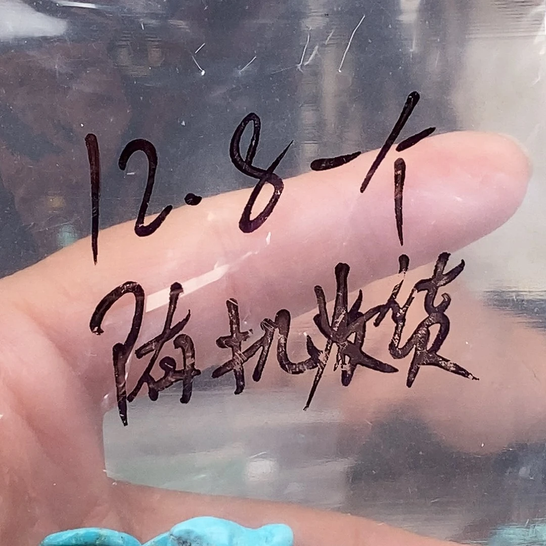 玛瑙/玉髓未镶嵌原矿