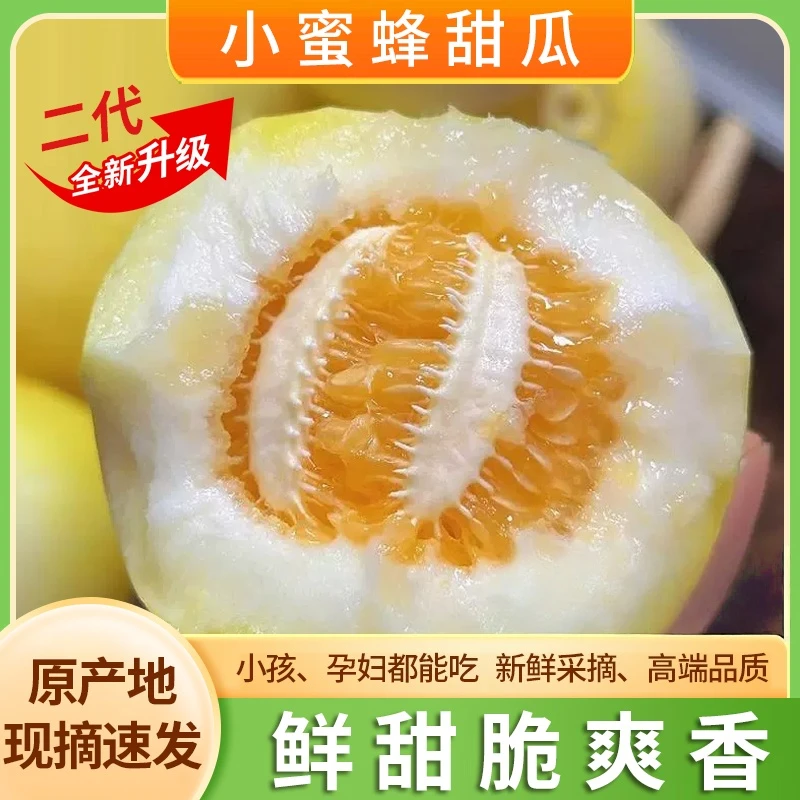【果王】山东小蜜蜂甜瓜早甜脆新鲜采摘脆甜爽口小蜜罐甜瓜