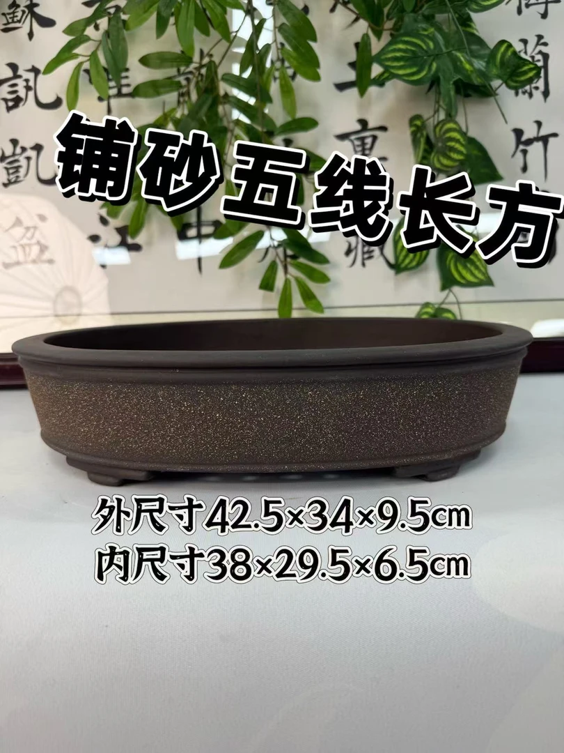 宜兴紫砂铺沙浅椭圆盆景盆金弹梅花海棠松柏老鸦柿桌面室内