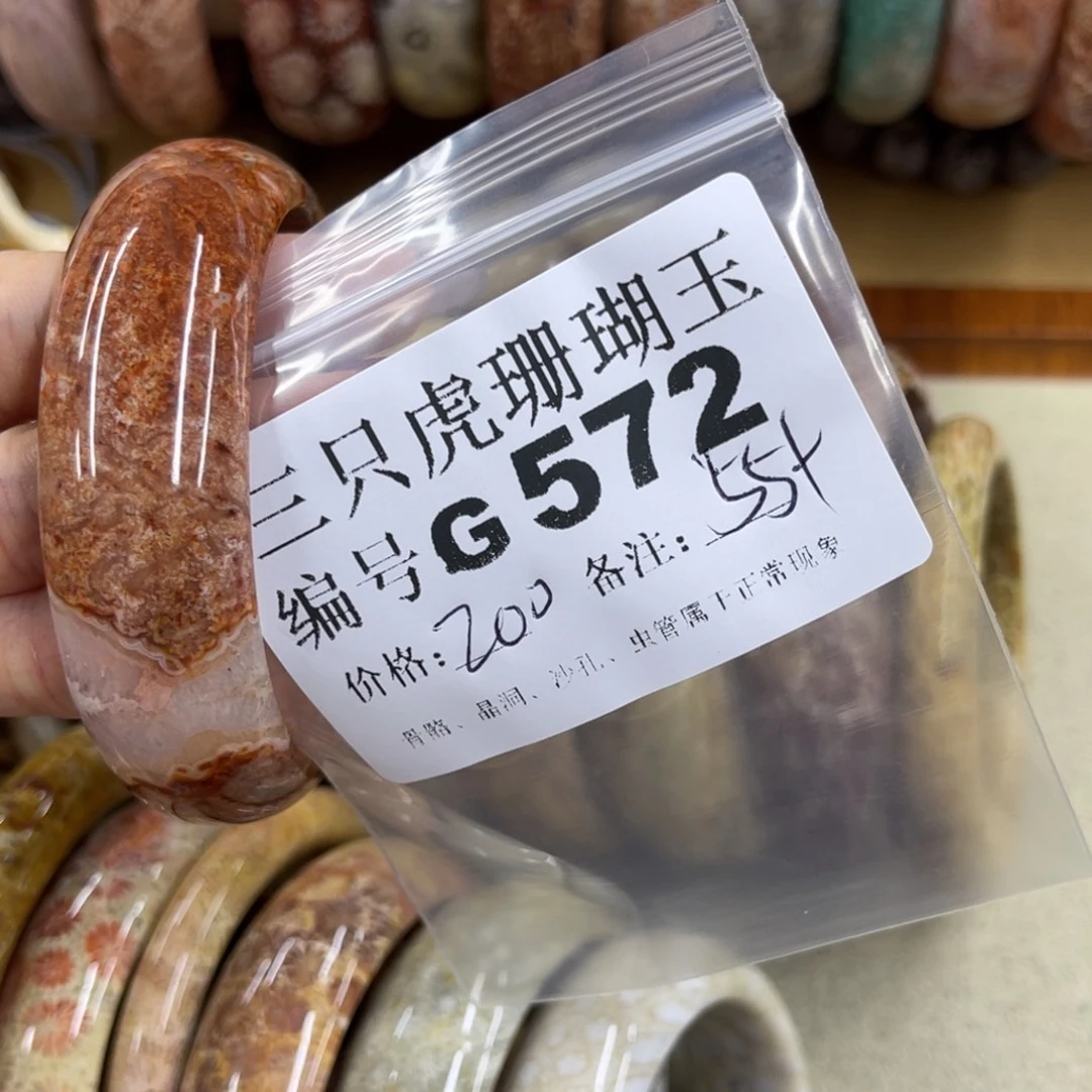 *****硅化珊瑚（珊瑚玉）未镶嵌h