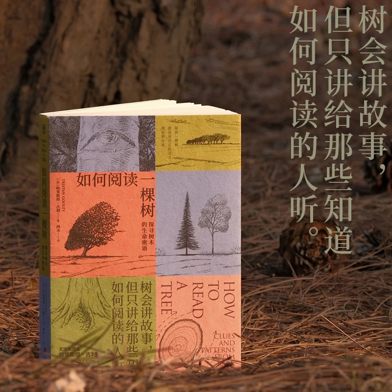 如何阅读一棵树:探寻树木的生命密语以自然为书页，用生命解码生命