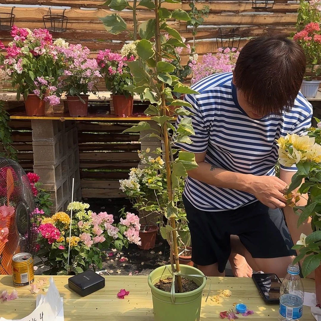 完全开放三色马斯黄马福利竞拍