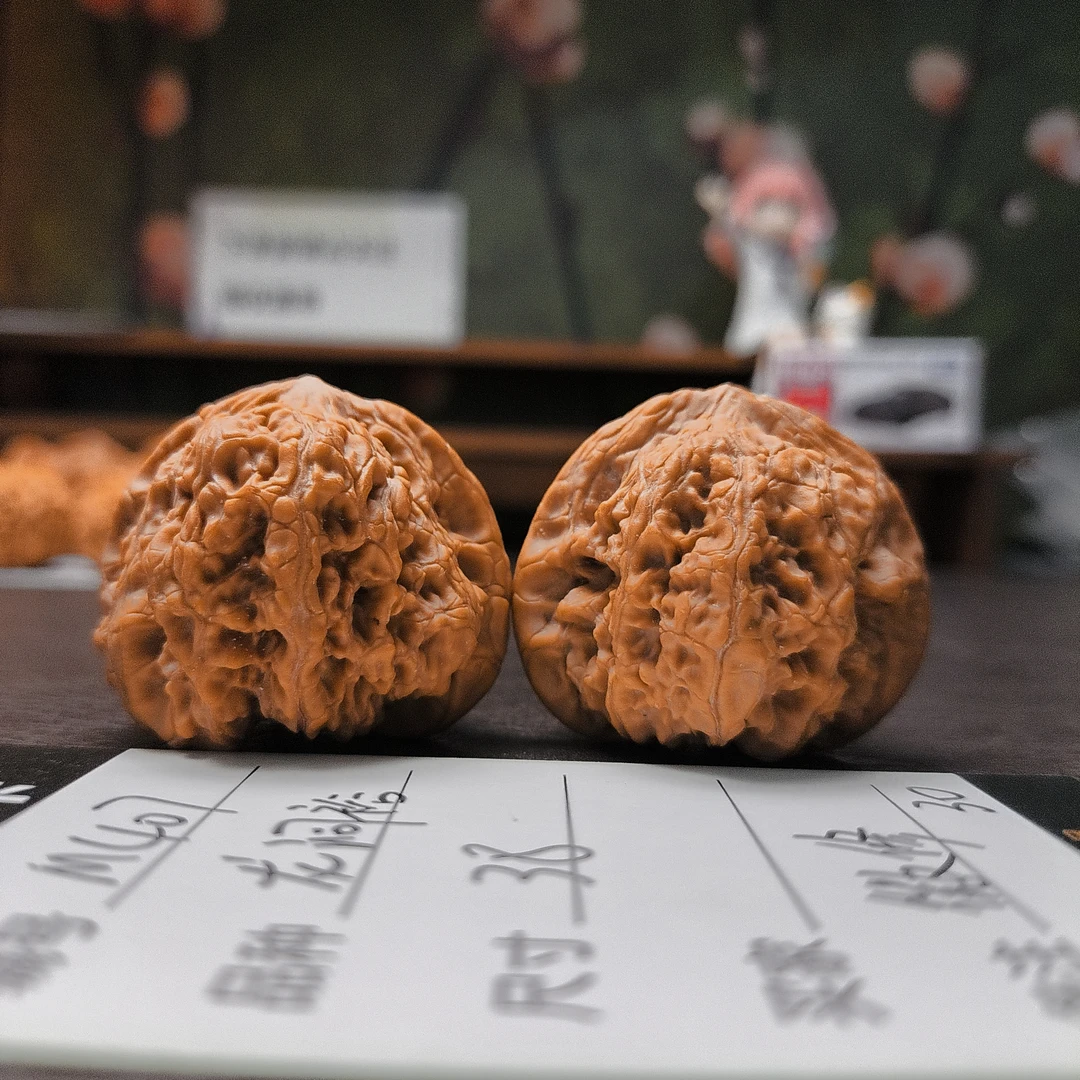 【文玩核桃】龙洞裕38微修尖（M407）