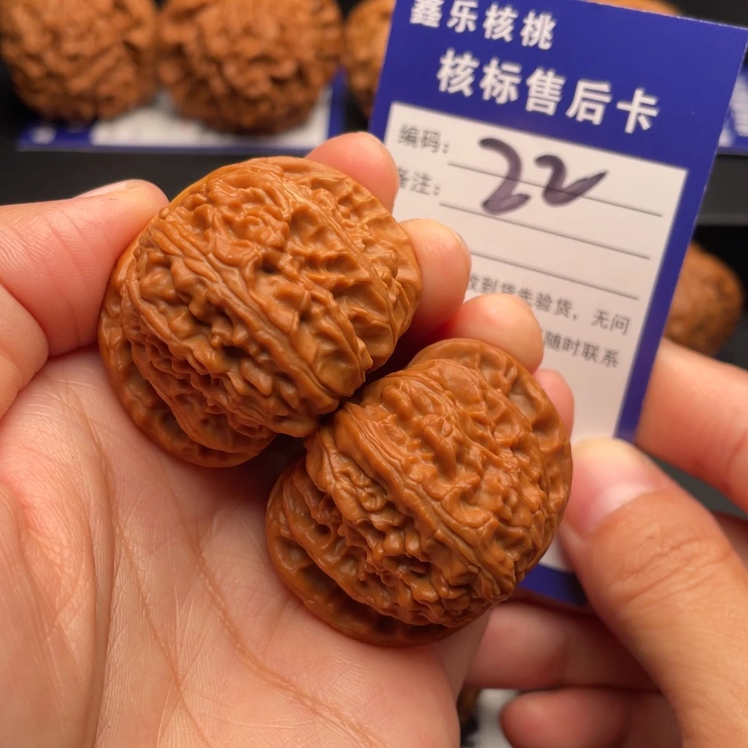 文玩核桃把件白狮子41尺22号