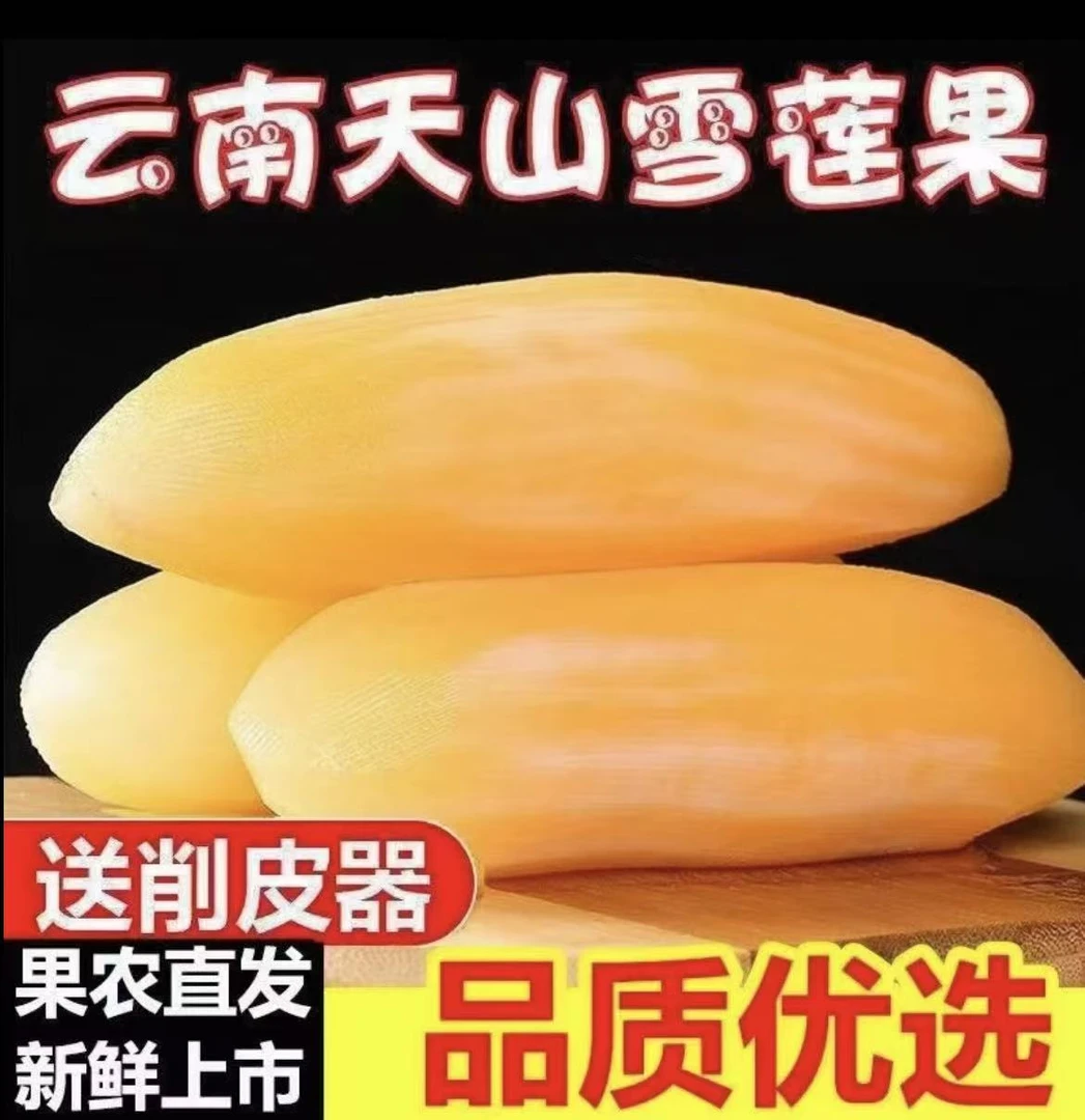ca云南正宗现挖黄心天山雪莲果新鲜脆甜多汁应季水果5-10斤装包邮