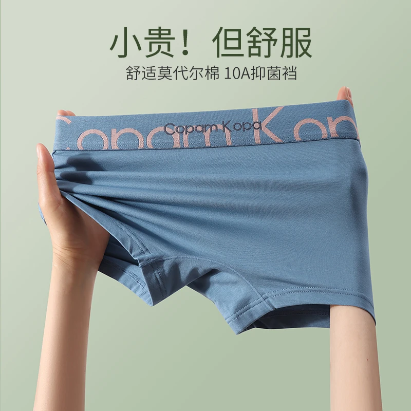 女士莫代尔棉内裤纯棉抗菌裆les帅t运动透气平角裤大码四角短裤
