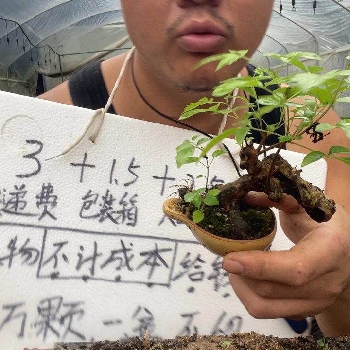 退款拉黑一物一拍126