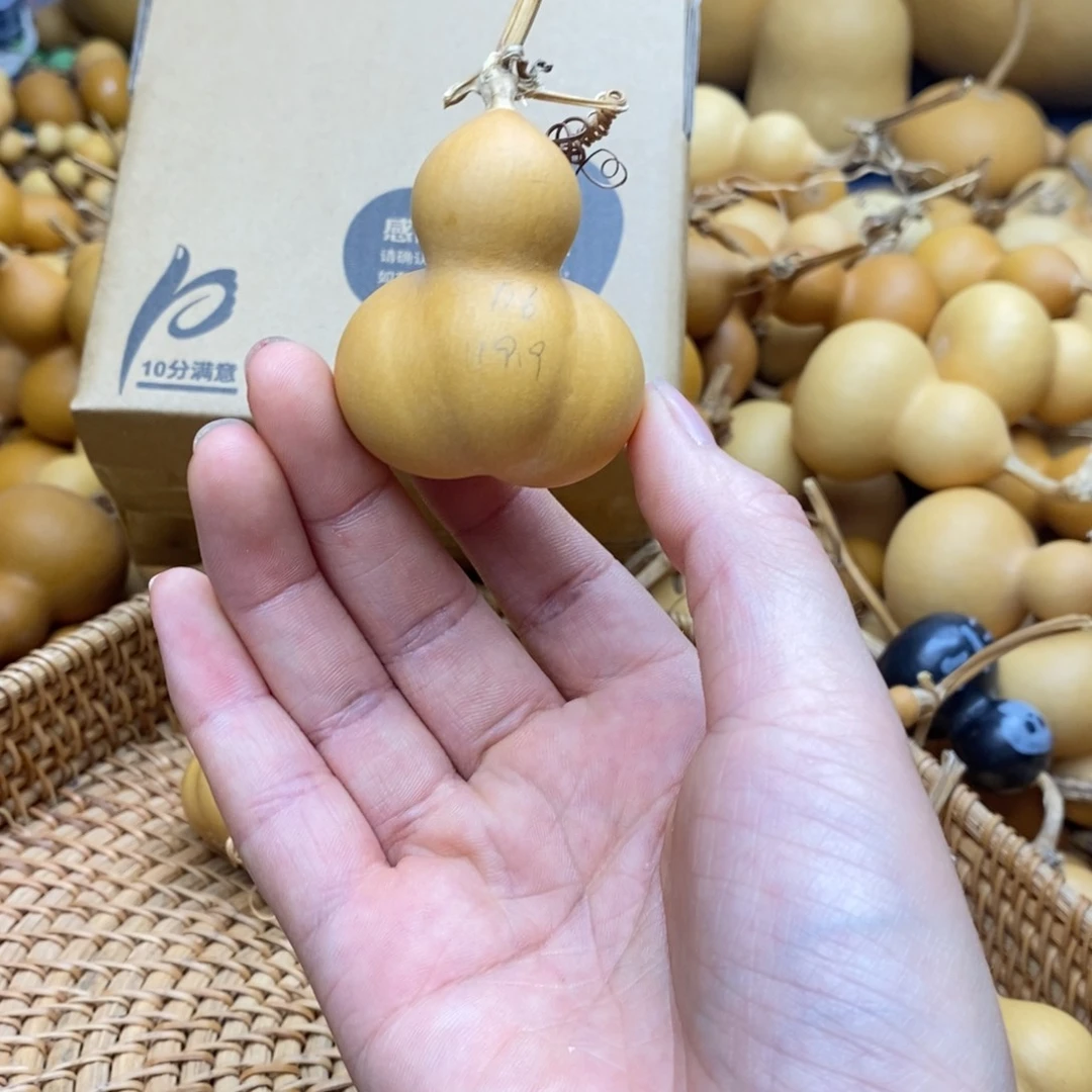 果冻果仁的专属闪拍