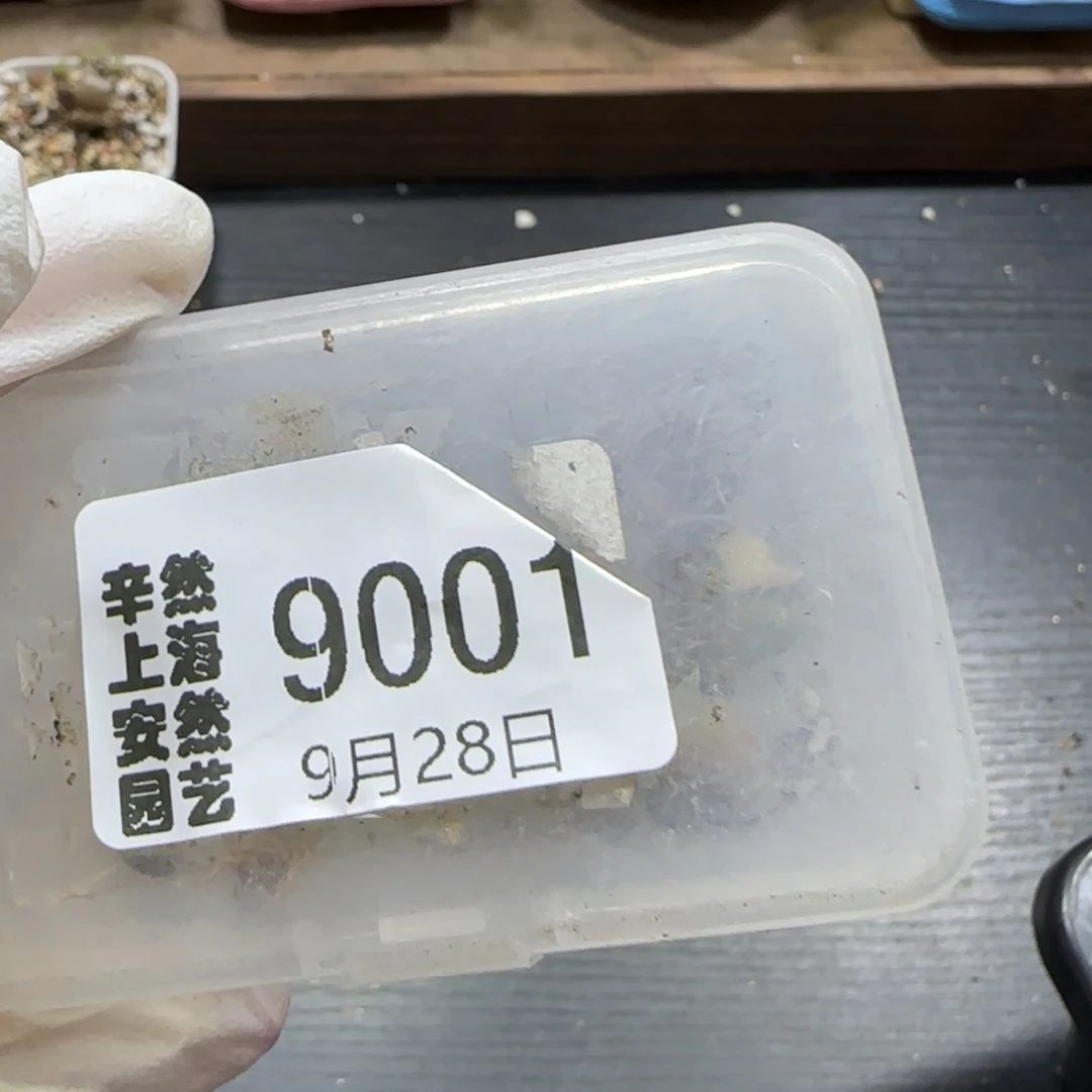 咸****9.28。 咸咸专拍。  9001
