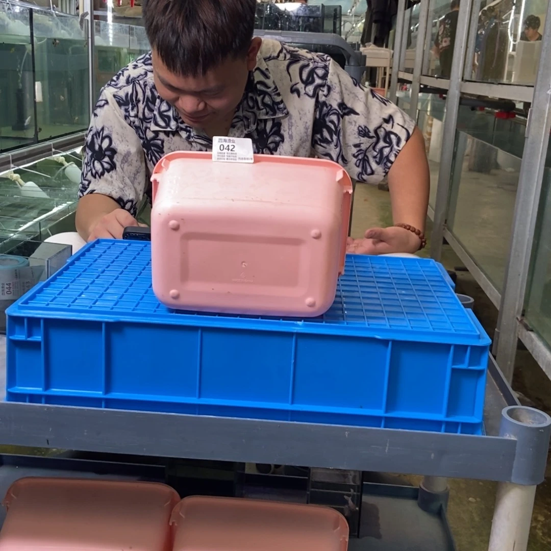 斗鱼包活不包损，所见即所得042