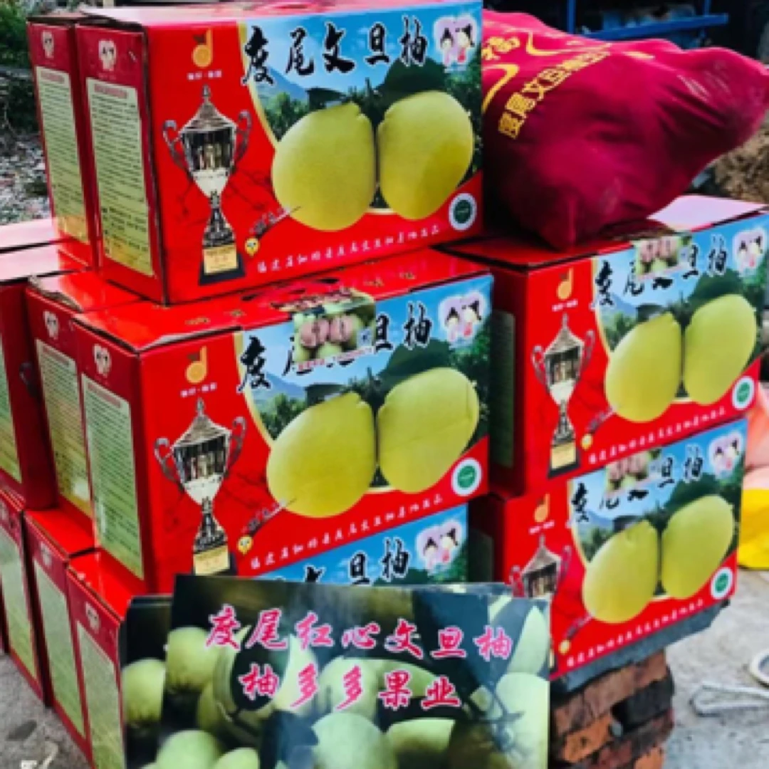 送礼送柚子,健康有面子