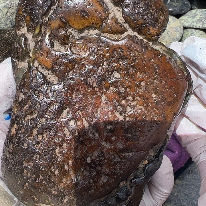 蛇纹石玉合金珠宝奇石清***流