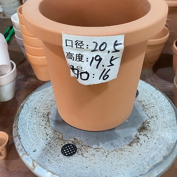 大蘭花盆20×20-1