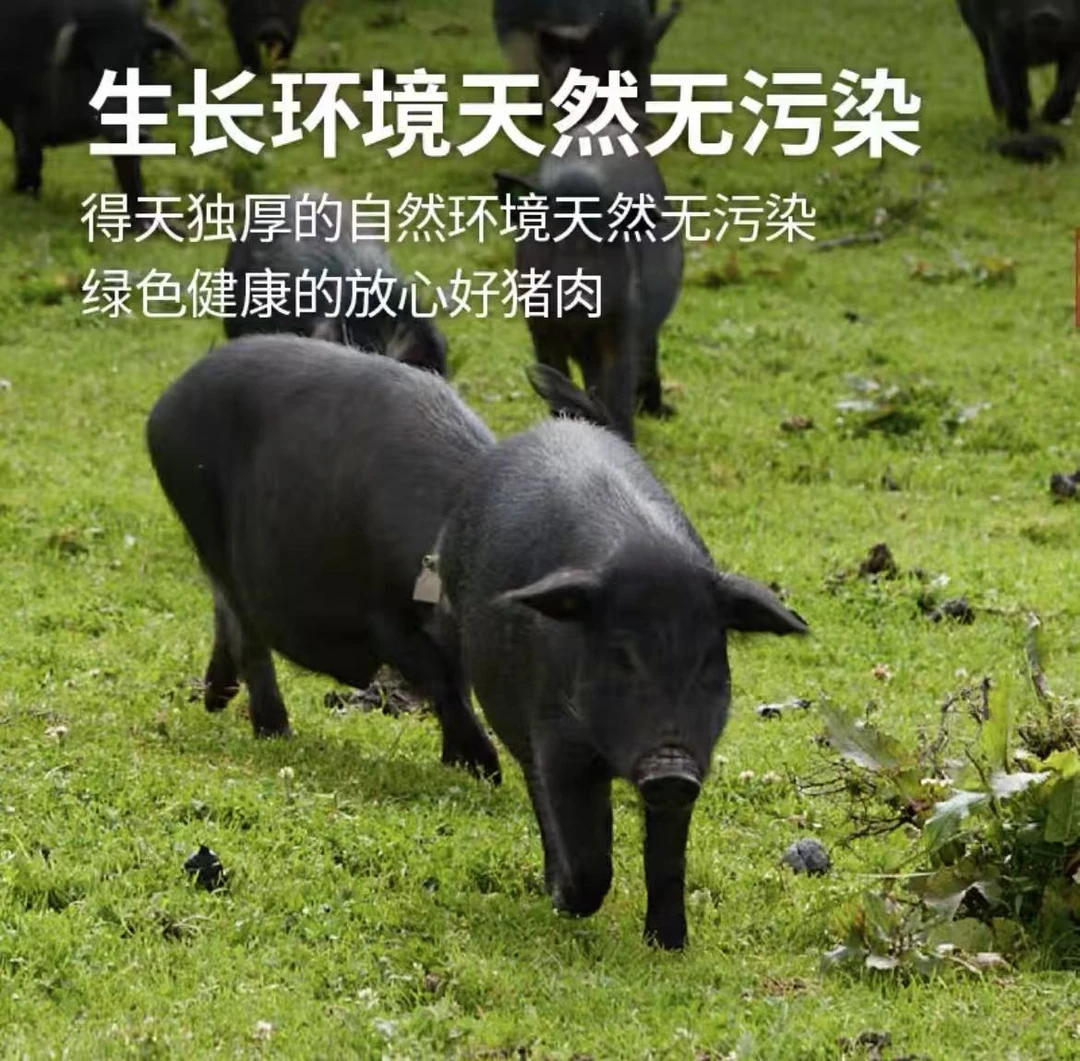 【精排骨4斤】正宗散养吃草一年半黑土猪跑山猪京东冷链速冻发货