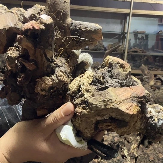 香榧木凉火琉璃的故事是毛料