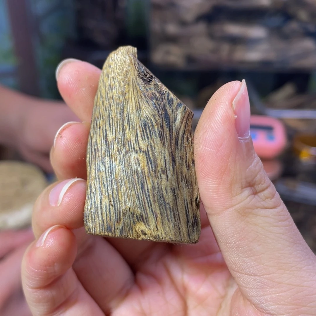 沉香碎屑沉香虫漏4克96