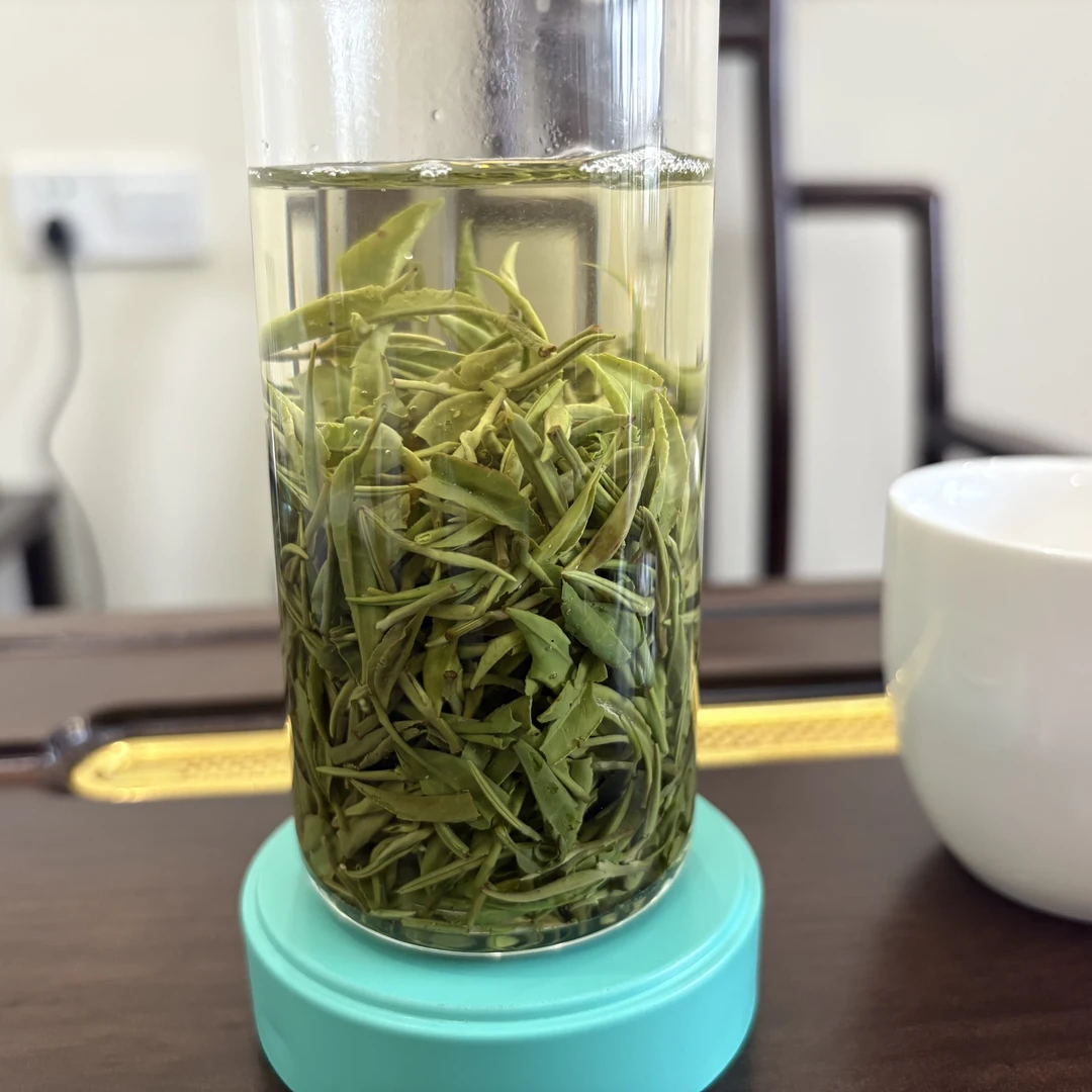 信阳毛尖绿茶秋芽叶  高山旱茶