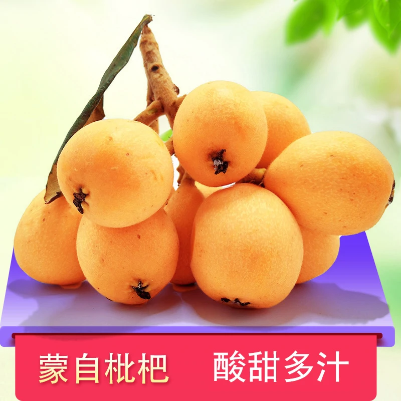 【顺丰速运】云南蒙自枇杷饱满酸甜皮薄多汁高山采摘1-5斤新鲜水果