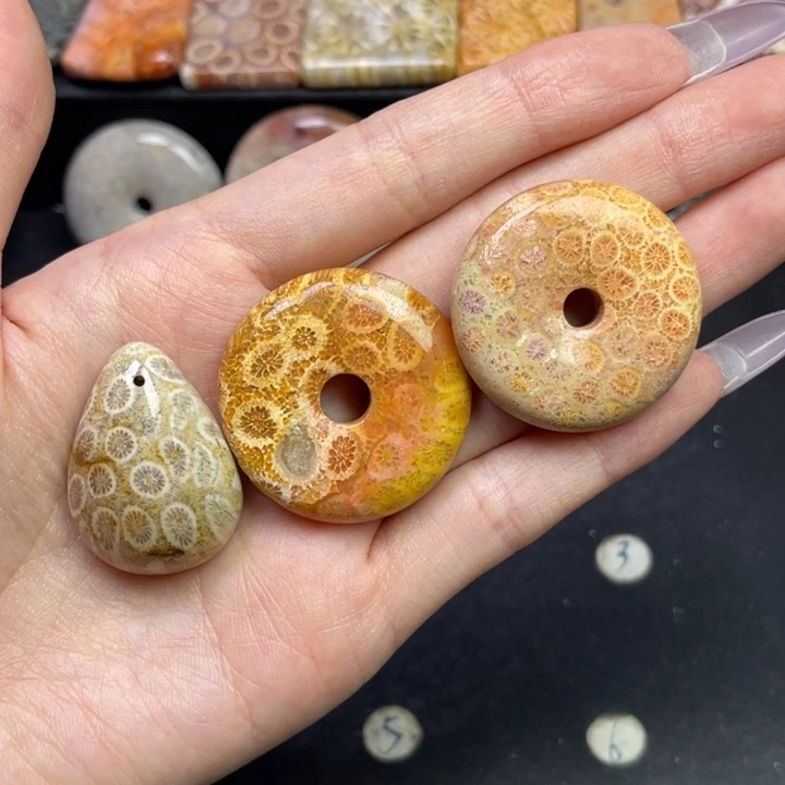 未镶嵌吊坠硅化珊瑚（珊瑚玉）