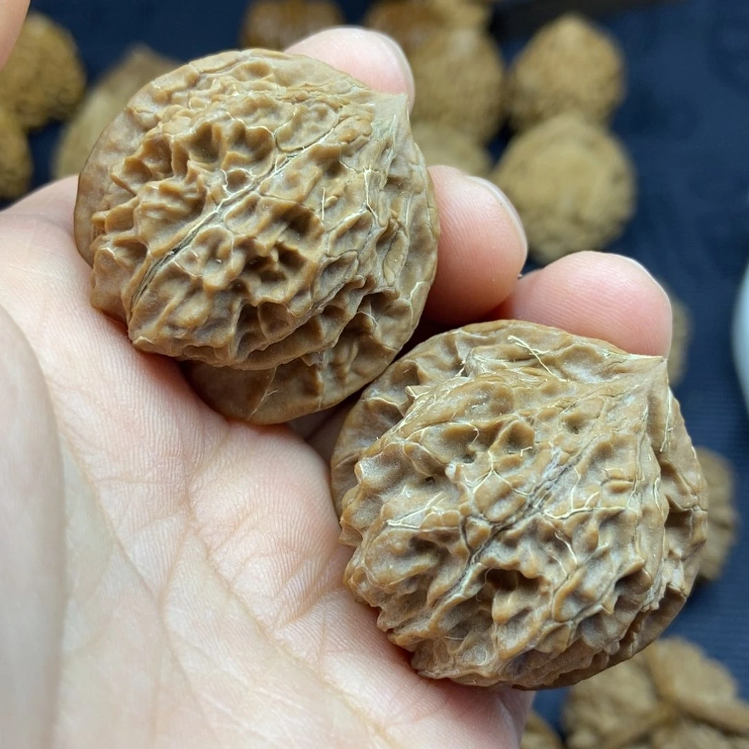 秦岭核桃野生玉玺宫灯2号链接222